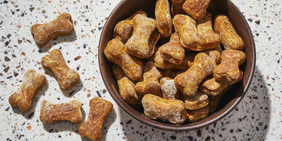 What Homemade Treats Can Dogs Eat?