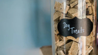 What-Are-Freeze-Dried-Dog-Treats-and-Why-Are-They-Great-for-Pets Talis Us