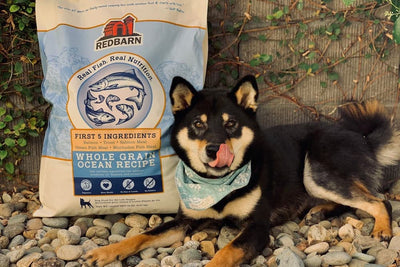 Redbarn Pet Products