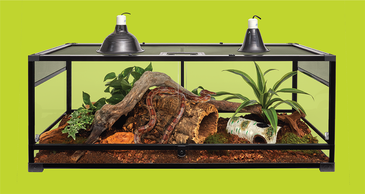 Exploring the Best Zilla Reptile Products for Your Pet