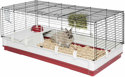 What Cage is Best for a Rabbit?