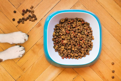 how to serve raw dynamic dog food