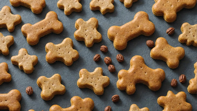 Irresistible Dog Treats to Delight Your Furry Companion