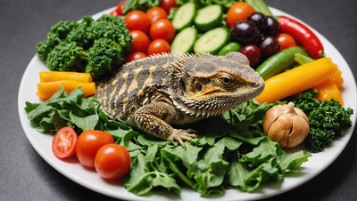 The Best Bearded Dragon Food for Optimal Health