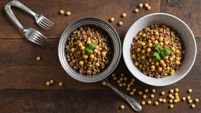 Raw and Dynamic Cat Food: A Nutritious Choice for Your Feline Companion