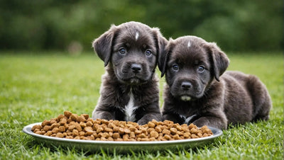 The Benefits of Freeze-Dried Dog Food for Puppies