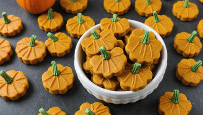 Homemade Pumpkin Dog Treats - Delicious Pumpkin Treats for Dogs