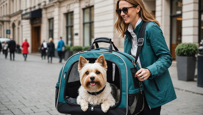 Travel in Style with a Dog Carrier Bag