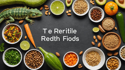 Top 5 Reptile Foods for a Healthy Diet