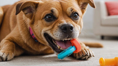 7 Dental Toys for Dogs for Fresh Breath and Healthy Teeth