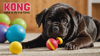 Interactive Fun with Kong Treat Toys for Dogs