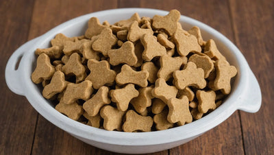 Why Choose Freeze Dried Dog Treats for Training