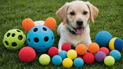 Complete Dog Toy Set: Everything Your Pup Needs