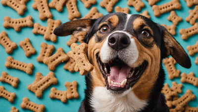 Fresh Breath, Happy Dog: Dog Treats for Bad Breath