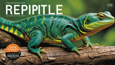 Reptile: Exploring the Fascinating World of Omnivorous Reptiles