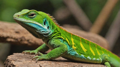 Lizard Diet: A Guide to Proper Nutrition for Lizards