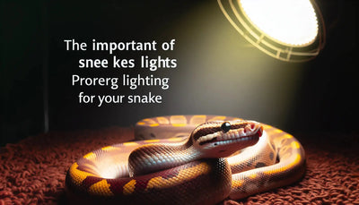 The Importance of Snake Lights: Providing Proper Lighting for Your Snake