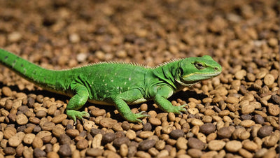 Find the Perfect Food for Your Reptile: Top Reptile Dry Food Options