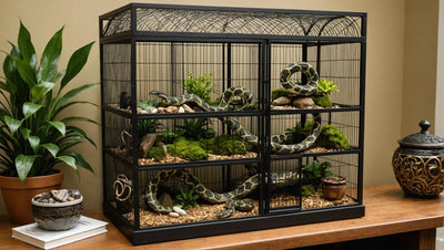 Snake Cage Decor Ideas