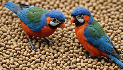 Why Pellets are the Perfect Bird Food for Your Avian Companion