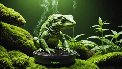 Reptile Systems Mercury Vapor: The Ultimate Guide