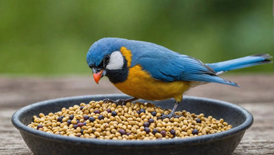 Top Bird Food Choices for a Healthy and Happy Avian Friend