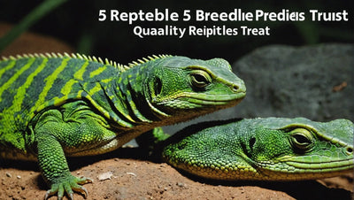 5 Reptile Breeders to Trust for Quality Reptiles