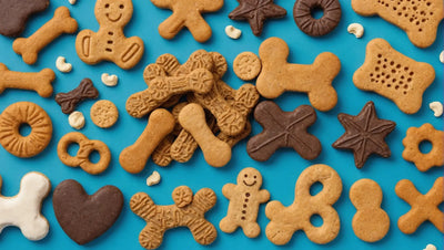 Ultimate Guide to Dog Treats for Large Breeds