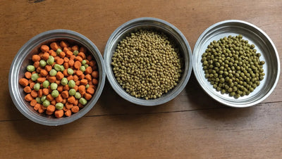 Cat Food - Small Batch Raw & Nutritious