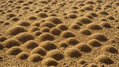 Zoomed Sand: Exploring the Beauty and Wonders of Zoomed-In Sands