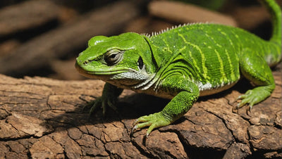 The Importance of Reptile Food for a Thriving Pet