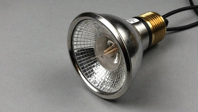 Heat Lamp Bulb - Find the Perfect Bulb for Your Heat Lamp