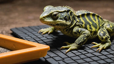 Is a Heat Mat Safe for Reptiles? Find Out the Truth!