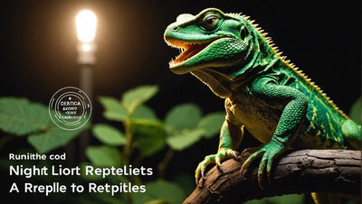 Night Lights for Reptiles: A Must-Have for Proper Care