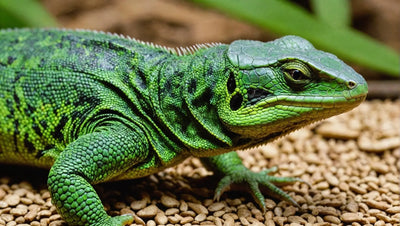 Reptile Gel Food: An Easy and Convenient Feeding Option