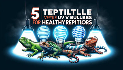 Top 5 Reptile UV Bulbs for Healthy Reptiles