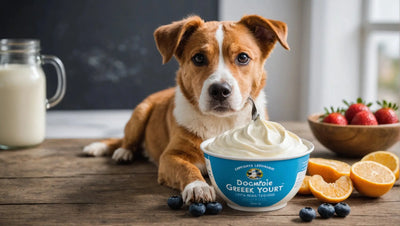 Dog-Friendly Greek Yogurt: A Healthy Treat for Your Canine