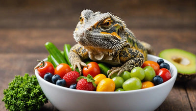 Bearded Dragon Omnivore Mix: The Perfect Diet for Your Pet