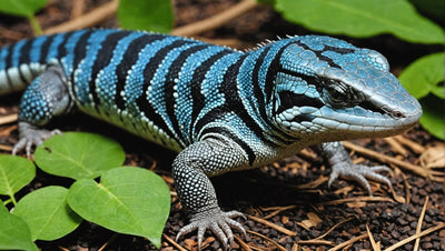 Vegetables for Blue Tongue Skink Care