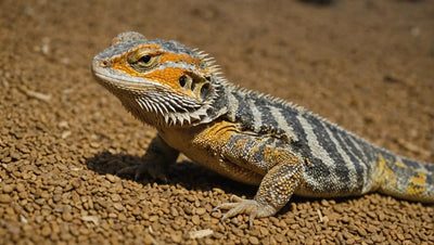 Bearded Dragon Daily Diet: Care and Tips for a Healthy Bearded Dragon Diet