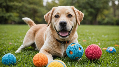 Unleash the Fun with a Diverse Selection of Dog Toys