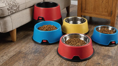 Choose from a Variety of Dog Bowls and Feeders for Your Pet
