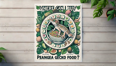 where can i buy pangea gecko food