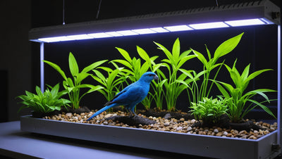 Full spectrum uv lamp suppliers for birds and reptiles