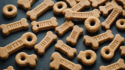 10 Best Dog Treats for Constipation Relief