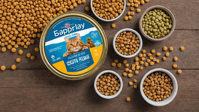 Top Freeze-Dried Cat Food Brands: Providing Quality and Convenience