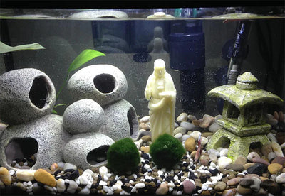 What are the Best Decorations for a Fish Tank?