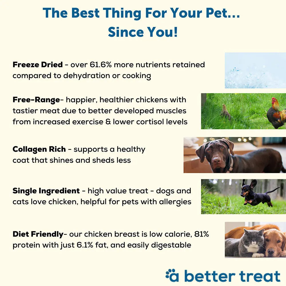 A Better Treat Just One Thing Freeze Dried Dog & Cat Treats 3 oz A Better Treat