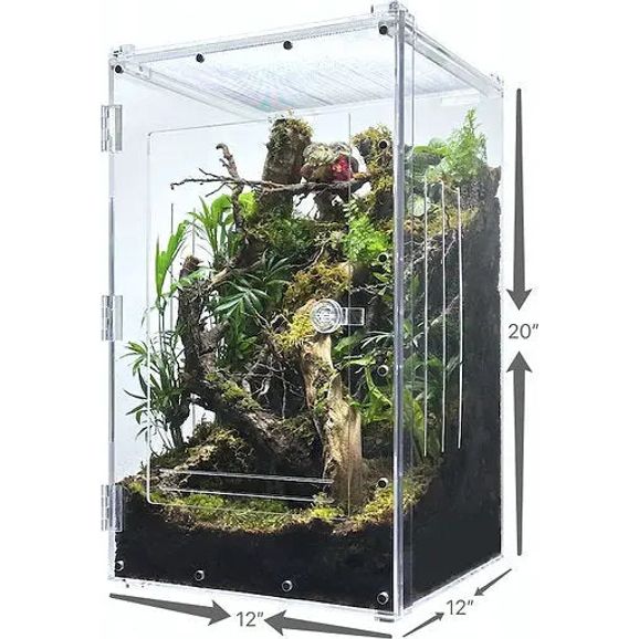 Acrylic Reptile Terrarium Double-Opening Enclosure for Lizards Spiders Geckos XLarge HerpCult