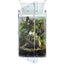 Acrylic Reptile Terrarium Double-Opening Enclosure for Lizards Spiders Geckos XLarge HerpCult